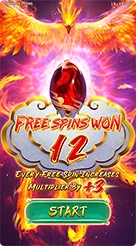 mbg11 · Phoenix Rises